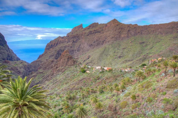 Masca köyü Tenerife, Kanarya Adaları, İspanya 'da pitoresk bir vadide yer almaktadır..