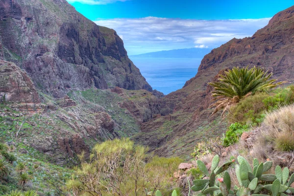 Masca Vadisi 'nin Tenerife, Kanarya Adaları, İspanya.