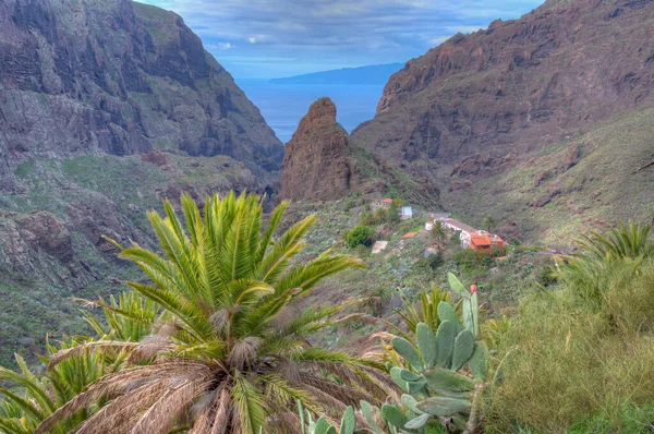 Masca Vadisi 'nin Tenerife, Kanarya Adaları, İspanya.