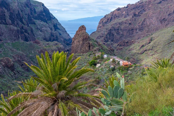 Masca Vadisi 'nin Tenerife, Kanarya Adaları, İspanya.
