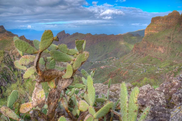 Camino Sinuoso Hacia Masca Pueblo Situado Pintoresco Valle Tenerife Islas —  Fotos de Stock