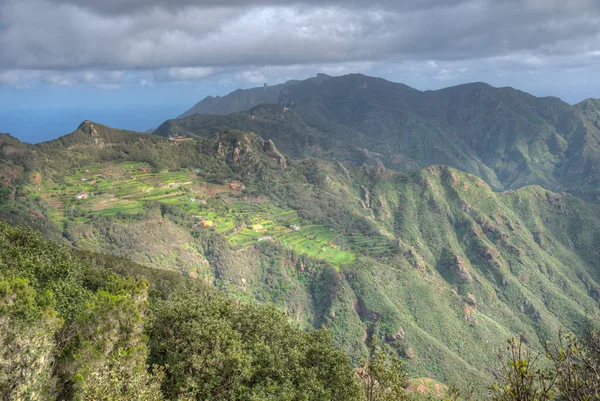 Landbouwlandschap Van Tenerife Het Anaga Gebergte Canarische Eilanden Spanje — Stockfoto