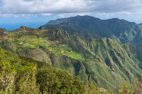 Paisaje Agrícola Tenerife Las Montañas Anaga Islas Canarias España —  Fotos de Stock