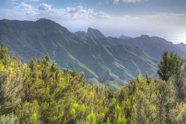 Tenerife 'deki Anaga dağlarının manzarası, Kanarya adaları, İspanya.