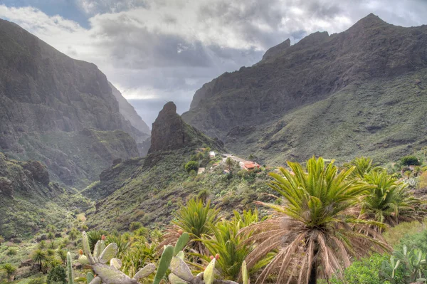 Masca köyü Tenerife, Kanarya Adaları, İspanya 'da pitoresk bir vadide yer almaktadır..