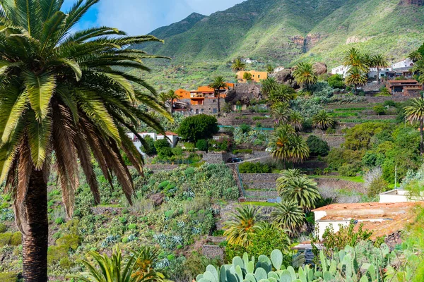 Masca köyü Tenerife, Kanarya Adaları, İspanya 'da pitoresk bir vadide yer almaktadır..