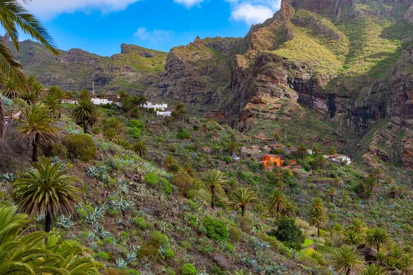 Masca köyü Tenerife, Kanarya Adaları, İspanya 'da pitoresk bir vadide yer almaktadır..