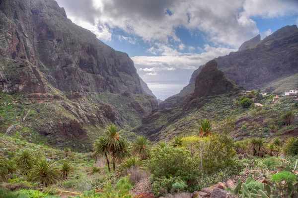 Masca köyü Tenerife, Kanarya Adaları, İspanya 'da pitoresk bir vadide yer almaktadır..