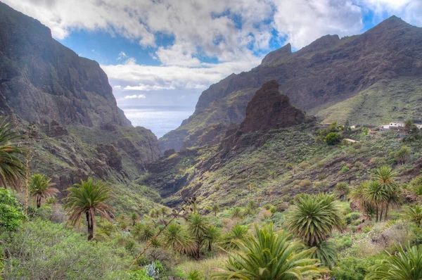 Masca Vadisi 'nin Tenerife, Kanarya Adaları, İspanya.
