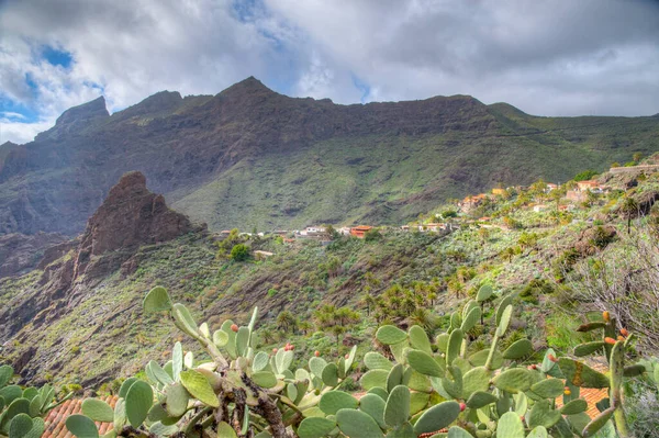 Masca köyü Tenerife, Kanarya Adaları, İspanya 'da pitoresk bir vadide yer almaktadır..