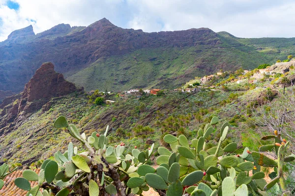 Masca köyü Tenerife, Kanarya Adaları, İspanya 'da pitoresk bir vadide yer almaktadır..