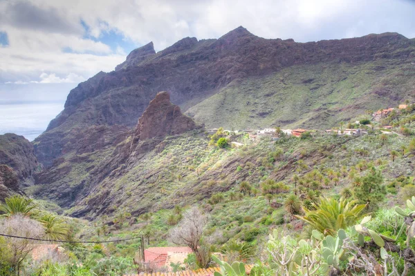 Masca köyü Tenerife, Kanarya Adaları, İspanya 'da pitoresk bir vadide yer almaktadır..