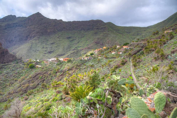 Masca köyü Tenerife, Kanarya Adaları, İspanya 'da pitoresk bir vadide yer almaktadır..