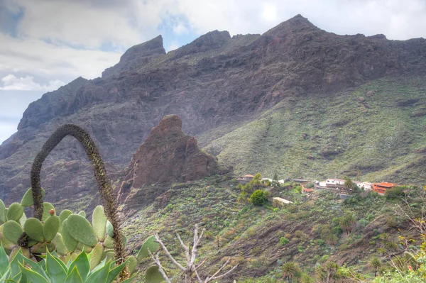 Masca köyü Tenerife, Kanarya Adaları, İspanya 'da pitoresk bir vadide yer almaktadır..