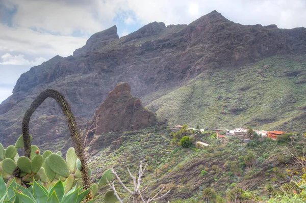 Pueblo Masca Situado Pintoresco Valle Tenerife Islas Canarias España —  Fotos de Stock