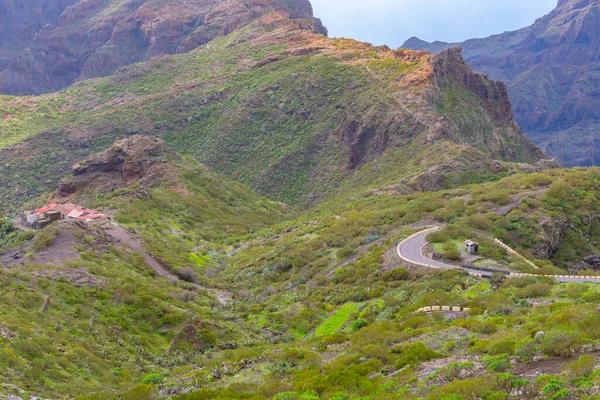 Masca Vadisi 'nin Tenerife, Kanarya Adaları, İspanya.