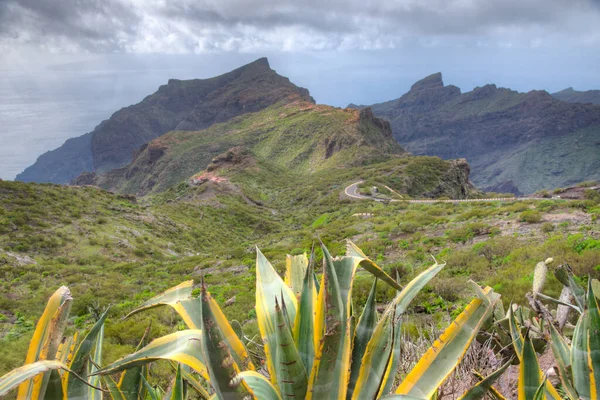 Masca Vadisi 'nin Tenerife, Kanarya Adaları, İspanya.