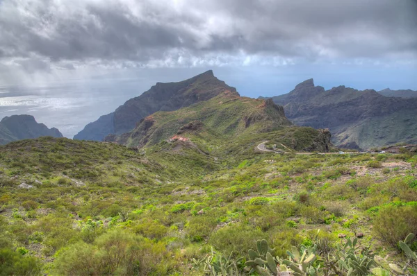 Masca Vadisi 'nin Tenerife, Kanarya Adaları, İspanya.