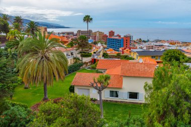 Puerto de la cruz Panorama, Tenerife, Kanarya Adaları, İspanya.