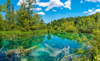 Hırvatistan 'daki Plitvice Gölleri Ulusal Parkı' nda yaz gökyüzü suya yansıdı
