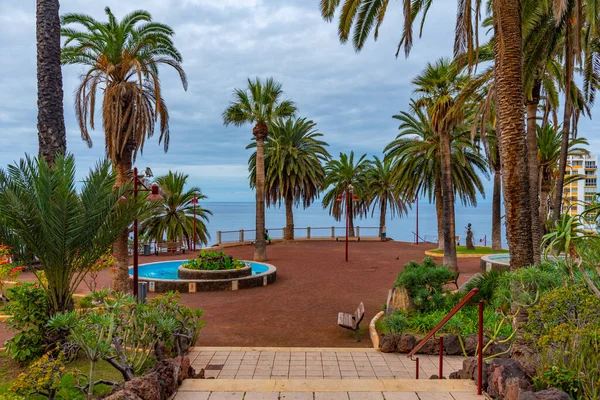 Puerto Cruz Daki Taoro Parkı Tenerife Kanarya Adaları Spanya — Stok fotoğraf