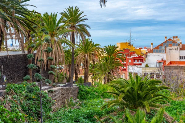 Puerto de la Cruz 'daki Taoro Parkı, Tenerife, Kanarya Adaları, İspanya .