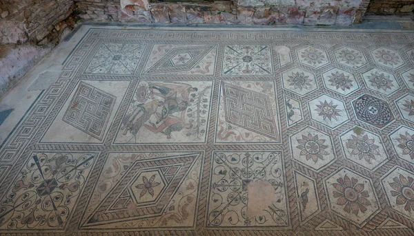 Punishment Dirce Floor Mosaics Pula Croati — стоковое фото