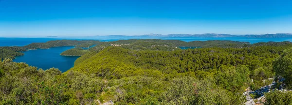 Повітряний Вид Mljet National Park Montokuc Hill Croati — стокове фото