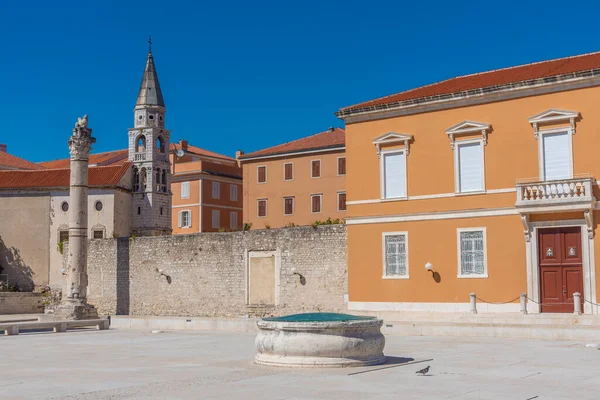 Church Saint Ilija Zeleni Trg Square Zadar Horvátország — Stock Fotó