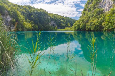 Hırvatistan 'daki Plitvice Gölleri Ulusal Parkı' ndaki yaz gökyüzü suya yansıdı