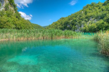 Hırvatistan 'daki Plitvice Gölleri Ulusal Parkı' ndaki yaz gökyüzü suya yansıdı