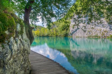 Hırvatistan 'daki Plitvice Gölleri' nden geçen tahta kaldırım milli parkı aydınlatıyor