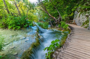Hırvatistan 'daki Plitvice Gölündeki Şelale Ulusal Parkı