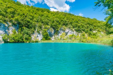 Hırvatistan 'daki Plitvice Gölündeki Şelale Ulusal Parkı