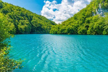 Hırvatistan 'daki Plitvice Gölleri Ulusal Parkı' ndaki yaz gökyüzü suya yansıdı