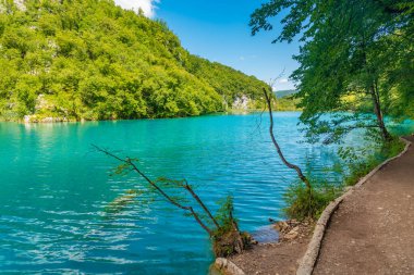 Hırvatistan 'daki Plitvice Gölleri Ulusal Parkı' ndaki yaz gökyüzü suya yansıdı