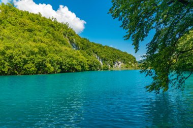 Hırvatistan 'daki Plitvice Gölleri Ulusal Parkı' ndaki yaz gökyüzü suya yansıdı