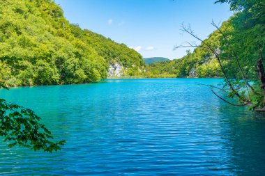 Hırvatistan 'daki Plitvice Gölleri Ulusal Parkı' ndaki yaz gökyüzü suya yansıdı