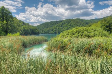 Hırvatistan 'daki Plitvice Gölleri Ulusal Parkı' ndaki yaz gökyüzü suya yansıdı