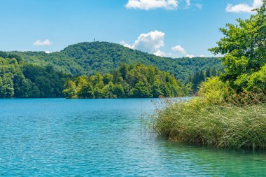 Hırvatistan 'daki Plitvice Gölleri Ulusal Parkı' ndaki yaz gökyüzü suya yansıdı