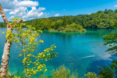 Hırvatistan 'daki Plitvice Gölleri Ulusal Parkı' ndaki yaz gökyüzü suya yansıdı