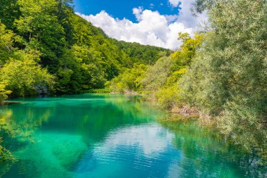 Hırvatistan 'daki Plitvice Gölleri Ulusal Parkı' ndaki yaz gökyüzü suya yansıdı