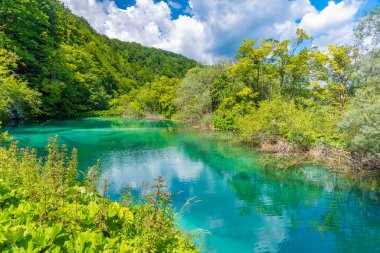 Hırvatistan 'daki Plitvice Gölleri Ulusal Parkı' ndaki yaz gökyüzü suya yansıdı
