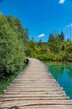 Hırvatistan 'daki Plitvice Gölleri' nden geçen tahta kaldırım milli parkı aydınlatıyor
