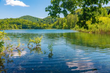 Hırvatistan 'daki Plitvice Gölleri Ulusal Parkı' ndaki yaz gökyüzü suya yansıdı