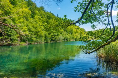 Hırvatistan 'daki Plitvice Gölleri Ulusal Parkı' ndaki yaz gökyüzü suya yansıdı