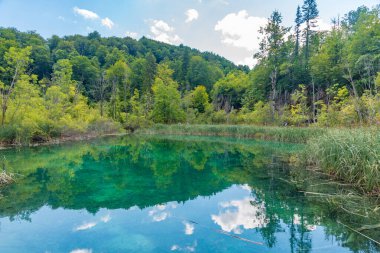 Hırvatistan 'daki Plitvice Gölleri Ulusal Parkı' ndaki yaz gökyüzü suya yansıdı