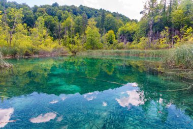 Hırvatistan 'daki Plitvice Gölleri Ulusal Parkı' ndaki yaz gökyüzü suya yansıdı