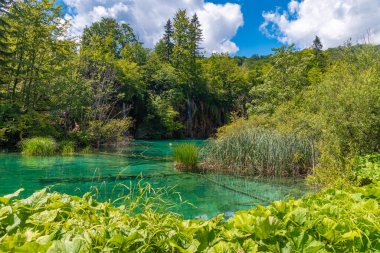 Hırvatistan 'daki Plitvice Gölleri Ulusal Parkı' ndaki yaz gökyüzü suya yansıdı