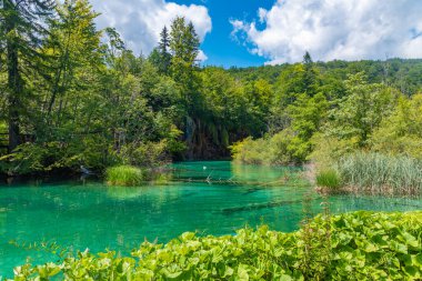 Hırvatistan 'daki Plitvice Gölleri Ulusal Parkı' ndaki yaz gökyüzü suya yansıdı